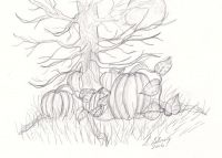 Pumpkin patch